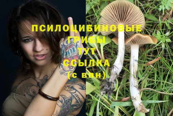 ALPHA-PVP Нязепетровск