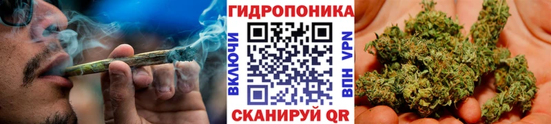 Шишки марихуана план Прокопьевск